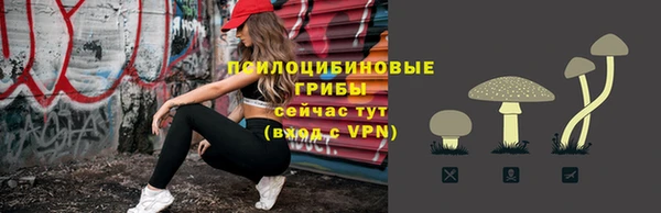 прущая мука Гусев