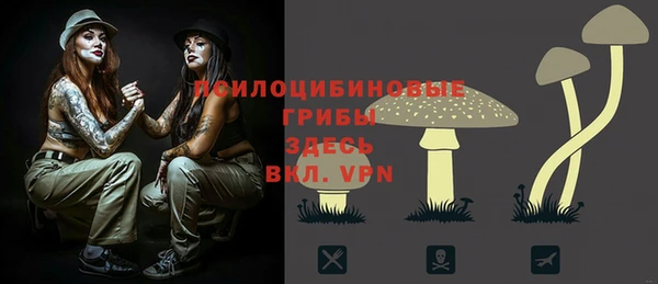 а пвп мука Гусь-Хрустальный