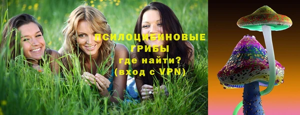 прущая мука Гусев