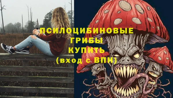 ПСИЛОЦИБИНОВЫЕ ГРИБЫ Гусиноозёрск