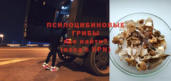 прущая мука Гусев