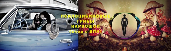 прущая мука Гусев