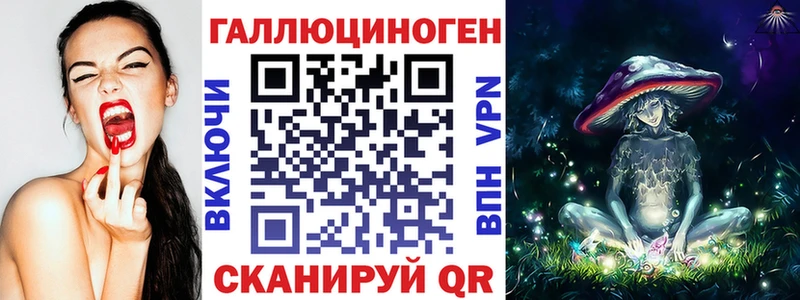 Купить где  Кохма  Галлюциногенные грибы Cubensis 